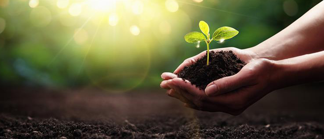 Sustentabilidade: o que é