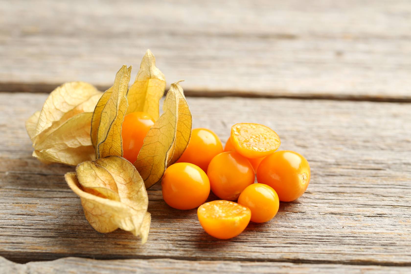 Physalis ou fisális