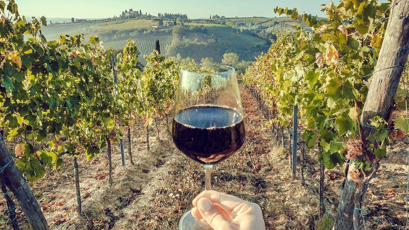 Vinhos Monocasta: tintas e brancas